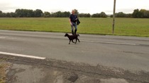 Zoom